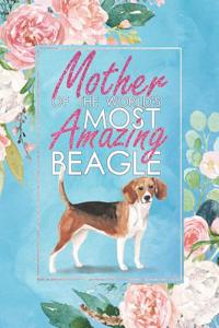 Mother of the World's Most Amazing Beagle