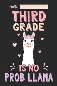 Third Grade Is No Prob Llama
