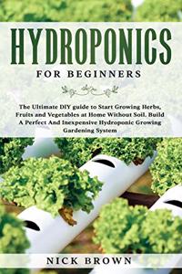 Hydroponics for Beginners