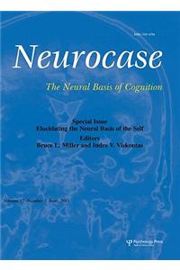 Elucidating the Neural Basis of the Self