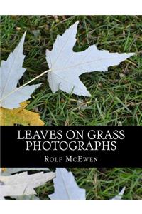 Leaves on Grass - Photographs
