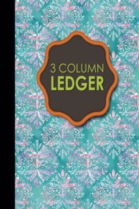 3 Column Ledger