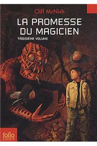 Promesse Du Magicien