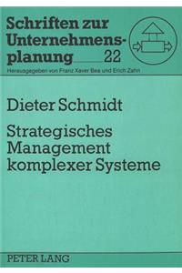 Strategisches Management komplexer Systeme