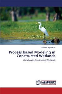 Process Based Modeling in Constructed Wetlands