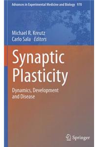 Synaptic Plasticity