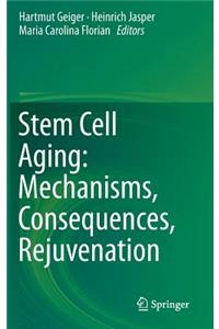 Stem Cell Aging: Mechanisms, Consequences, Rejuvenation