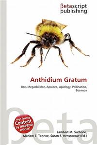 Anthidium Gratum
