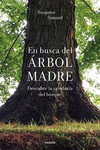 En busca del Arbol Madre: Descubre la sabiduria del bosque