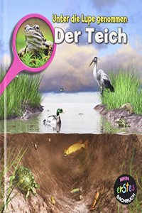 Der Teich: Unter die Lupe genommen