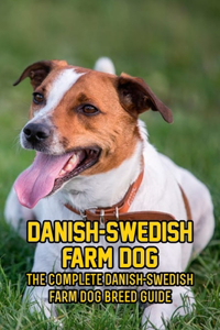 Danish-Swedish Farm Dog