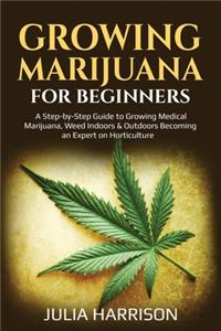 Growing Marijuana for Beginners