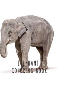 Elephant Coloring Book