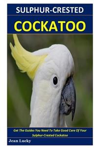 Sulphur-crested Cockatoo