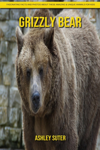 Grizzly bear