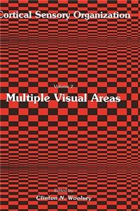 Multiple Visual Areas