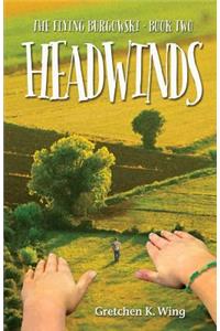 Headwinds