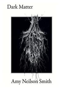 Dark Matter