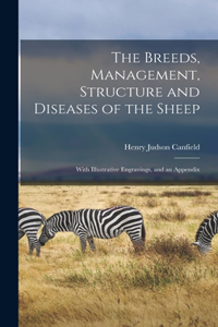 Breeds, Management, Structure and Diseases of the Sheep