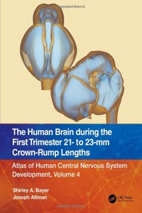 The Human Brain during the First Trimester 21- to 23-mm Crown-Rump Lengths