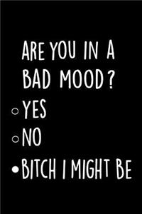 Are you in a bad mood? Bitch I might be