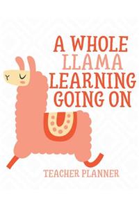 A Whole Llama Learning Going On