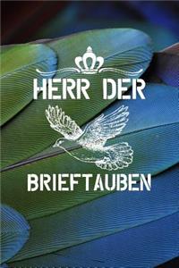 Herr der Brieftauben