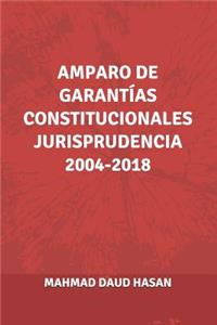 Amparo de Garantías Constitucionales Jurisprudencia 2004-2018