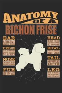 Anatomy Of A Bichon Frise