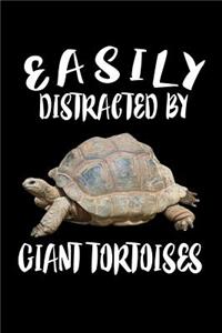 Easily Distracted By Giant Tortoises