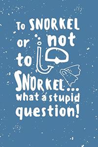 To snorkel or not to snorkel...what a stupid question