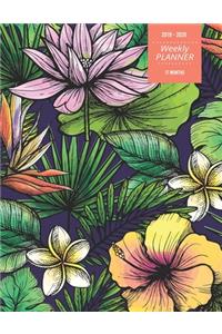 2019 - 2020 - Weekly Planner - 17 Months