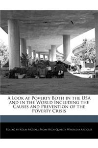 A Look at Poverty Both in the USA and in the World Including the Causes and Prevention of the Poverty Crisis