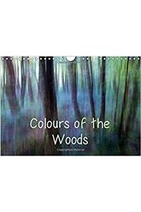 Colours of the Woods 2018