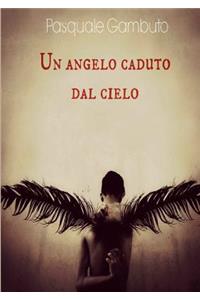 Un Angelo Caduto Dal Cielo e L'Uomo Misterioso