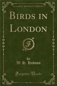 Birds in London (Classic Reprint)