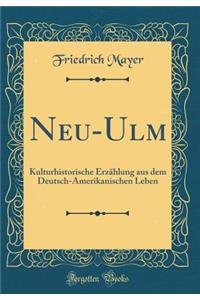 Neu-Ulm: Kulturhistorische ErzÃ¤hlung Aus Dem Deutsch-Amerikanischen Leben (Classic Reprint)