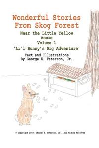 Wonderful Stories From Skog Forest