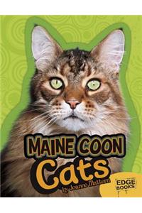 Maine Coon Cats