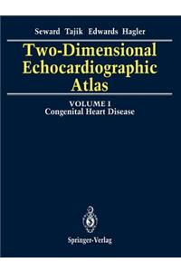 Two-Dimensional Echocardiographic Atlas