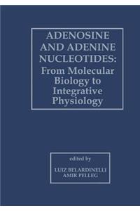 Adenosine and Adenine Nucleotides: From Molecular Biology to Integrative Physiology