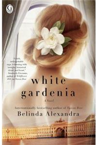 White Gardenia