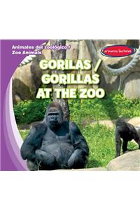 Gorilas / Gorillas at the Zoo
