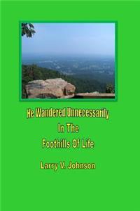 He Wandered Unnecessarily In The Foothills Of Life