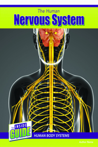 The Human Nervous System