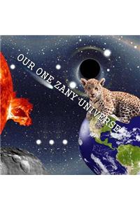 Our One Zany Universe