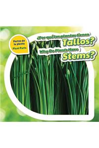 ¿Por Qué Las Plantas Tienen Tallos? / Why Do Plants Have Stems?