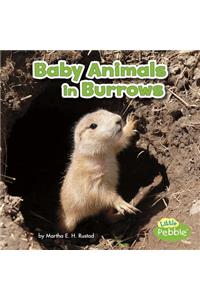 Baby Animals in Burrows