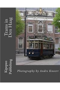 Trams in Den Haag: Photography by Andre Knoerr