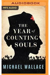 Year of Counting Souls